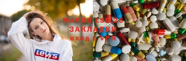 крисы Алексин