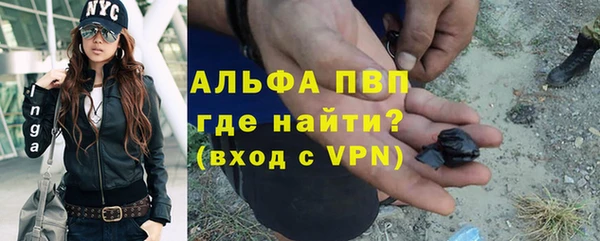 крисы Алексин