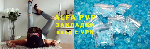 крисы Алексин