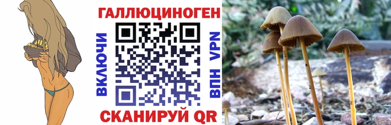 Галлюциногенные грибы мицелий  Кинель 